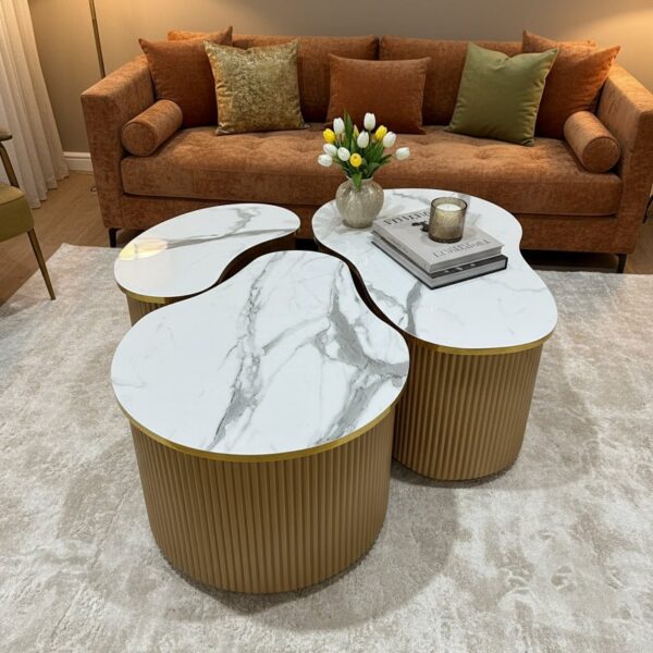 Set Of 3 Coffee Table