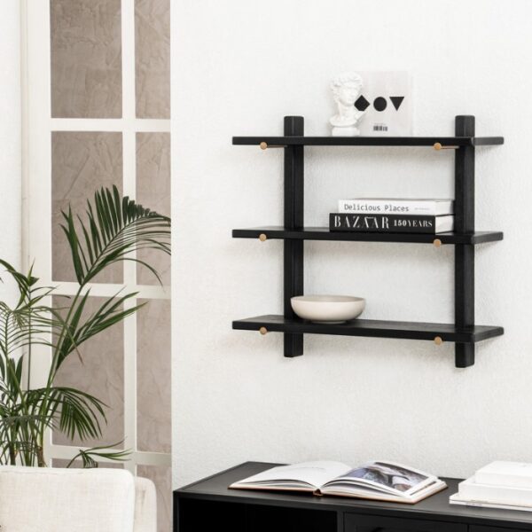 Anvi Shelve